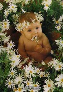 bébé