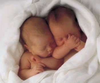bébé