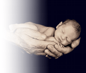 bébé