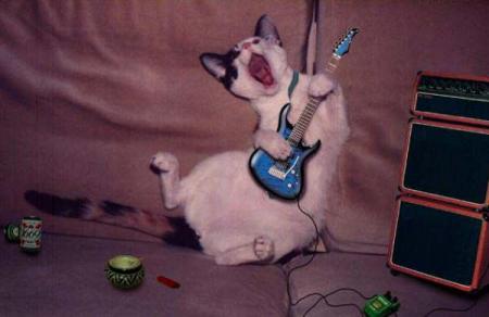 chat rock