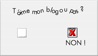 Aimez vous mon blog???