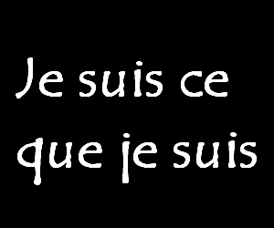 je vous ....