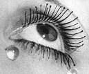 ℓєѕ ℓαямєѕ...